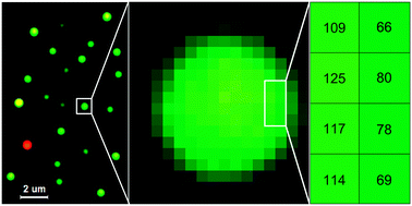 Graphical abstract: Digitized single scattering nanoparticles for probing molecular binding