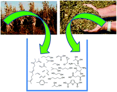 Graphical abstract: Green and sustainable manufacture of chemicals from biomass: state of the art