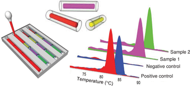 Graphical abstract: An enclosed in-gel PCR amplification cassette with multi-target, multi-sample detection for platform molecular diagnostics