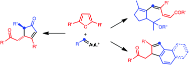 Graphical abstract: Intermolecular reactions of gold(i)-carbenes with furans by related mechanisms