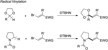 Graphical abstract: Radical vinylation of dioxolanes and N-acylpyrrolidines using vinyl bromides