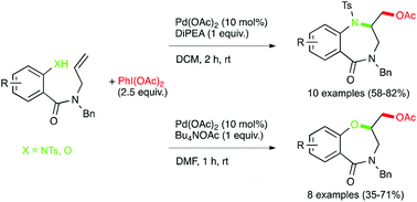 Graphical abstract: Synthesis of 1,4-benzodiazepinones and 1,4-benzoxazepinones via palladium-catalyzed amino and oxyacetoxylation