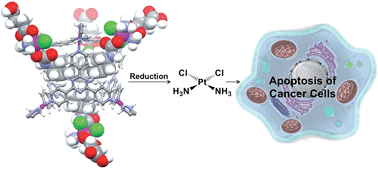 Graphical abstract: Encapsulation of Pt(iv) prodrugs within a Pt(ii) cage for drug delivery