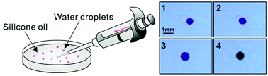 Graphical abstract: Fusion of microlitre water-in-oil droplets for simple, fast and green chemical assays