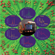 Graphical abstract: Point-and-shoot: rapid quantitative detection methods for on-site food fraud analysis – moving out of the laboratory and into the food supply chain