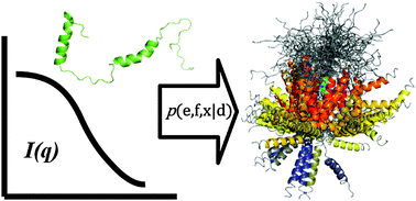 Graphical abstract: Bayesian inference of protein ensembles from SAXS data