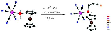 Graphical abstract: Hydrophosphination reactions with transition metal ferrocenylphosphine complexes