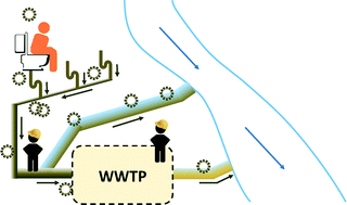 Graphical abstract: Emerging investigators series: the source and fate of pandemic viruses in the urban water cycle