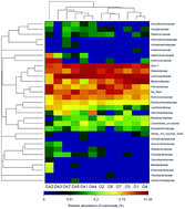 Graphical abstract: Lentinula edodes-derived polysaccharide rejuvenates mice in terms of immune responses and gut microbiota