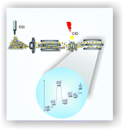 Graphical abstract: Fragmentation reactions using electrospray ionization mass spectrometry: an important tool for the structural elucidation and characterization of synthetic and natural products