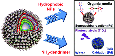 Graphical abstract: Multicatalytic colloids with highly scalable, adjustable, and stable functionalities in organic and aqueous media