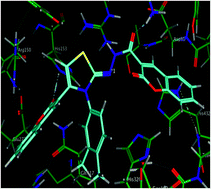 Graphical abstract: Facile and expedient access to bis-coumarin–iminothiazole hybrids by molecular hybridization approach: synthesis, molecular modelling and assessment of alkaline phosphatase inhibition, anticancer and antileishmanial potential