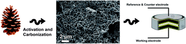 Graphical abstract: Renewable pine cone biomass derived carbon materials for supercapacitor application