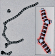 Graphical abstract: Self-assembly of “patchy” nanoparticles: a versatile approach to functional hierarchical materials