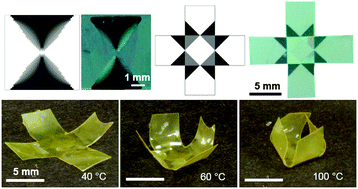 Graphical abstract: Topology optimization for the design of folding liquid crystal elastomer actuators