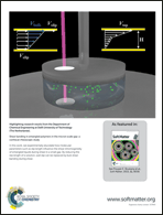 Graphical abstract: Back cover