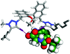 Graphical abstract: Enhancing the enantioselective recognition and sensing of chiral anions by halogen bonding