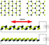 Graphical abstract: Two new phases of monolayer group-IV monochalcogenides and their piezoelectric properties