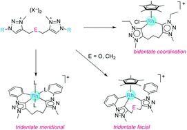 Graphical abstract: Versatile bonding and coordination modes of ditriazolylidene ligands in rhodium(iii) and iridium(iii) complexes