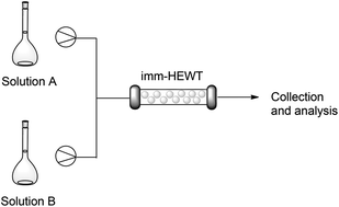 Graphical abstract: Continuous flow biocatalysis: production and in-line purification of amines by immobilised transaminase from Halomonas elongata