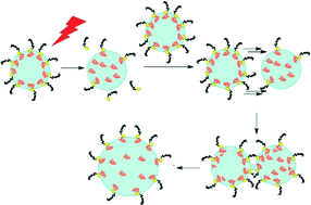 Graphical abstract: Photolysis-driven merging of microdroplets in microfluidic chambers