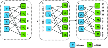 Graphical abstract: NTSMDA: prediction of miRNA–disease associations by integrating network topological similarity