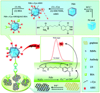 Graphical abstract: Self-enhanced N-(aminobutyl)-N-(ethylisoluminol) derivative-based electrochemiluminescence immunosensor for sensitive laminin detection using PdIr cubes as a mimic peroxidase