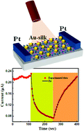 Graphical abstract: Metal nanoparticles triggered persistent negative photoconductivity in silk protein hydrogels