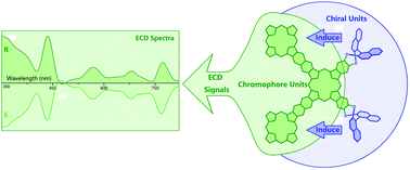 Graphical abstract: Unprecedented phthalocyanine–porphyrin-fused oligomers with induced chirality nature