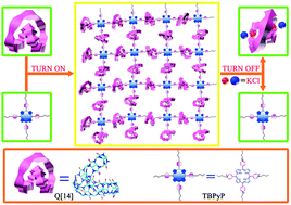 Graphical abstract: Hyperbranched supramolecular polymer constructed from twisted cucurbit[14]uril and porphyrin via host–guest interactions