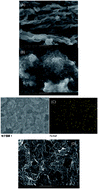 Graphical abstract: An ultrasensitive aptasensor for chlorpyrifos based on ordered mesoporous carbon/ferrocene hybrid multiwalled carbon nanotubes