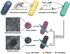 Graphical abstract: Confined-space synthesis of nanostructured anatase, directed by genetically engineered living organisms for lithium-ion batteries