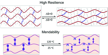 Graphical abstract: A biomass approach to mendable bio-elastomers