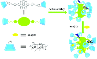 Graphical abstract: Superbenzene-bridged bis(permethyl-β-cyclodextrin) as a convenient and effective probe for trinitrophenol exploder