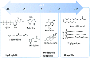 Graphical abstract: Sample preparation for polar metabolites in bioanalysis