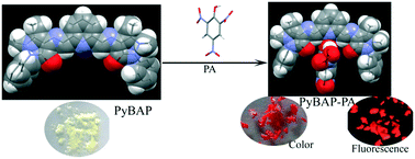 Graphical abstract: A crab claw shaped molecular receptor for selective recognition of picric acid: supramolecular self-assembly mediated aggregation induced emission and color change