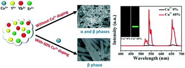 Graphical abstract: Enhanced upconversion luminescence and controllable phase/shape of NaYF4:Yb/Er crystals through Cu2+ ion doping