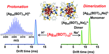 Graphical abstract: Understanding proton capture and cation-induced dimerization of [Ag29(BDT)12]3− clusters by ion mobility mass spectrometry