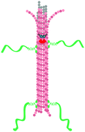 Graphical abstract: Non-equilibrium assembly of microtubules: from molecules to autonomous chemical robots