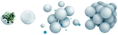 Graphical abstract: Protein cage assembly across multiple length scales