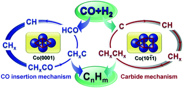 Graphical abstract: First-principles study of structure sensitivity of chain growth and selectivity in Fischer–Tropsch synthesis using HCP cobalt catalysts