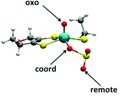 Graphical abstract: Consensus structures of the Mo(v) sites of sulfite-oxidizing enzymes derived from variable frequency pulsed EPR spectroscopy, isotopic labelling and DFT calculations