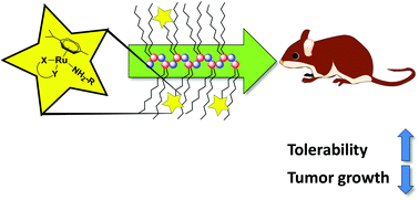 Graphical abstract: Synthesis and in vivo anticancer evaluation of poly(organo)phosphazene-based metallodrug conjugates
