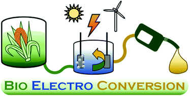 Graphical abstract: Production of drop-in fuels from biomass at high selectivity by combined microbial and electrochemical conversion