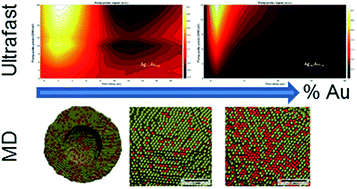 Graphical abstract: Correlating structural dynamics and catalytic activity of AgAu nanoparticles with ultrafast spectroscopy and all-atom molecular dynamics simulations