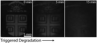 Graphical abstract: Stereolithographic printing of ionically-crosslinked alginate hydrogels for degradable biomaterials and microfluidics