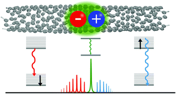 Graphical abstract: Interplay of spectral diffusion and phonon-broadening in individual photo-emitters: the case of carbon nanotubes