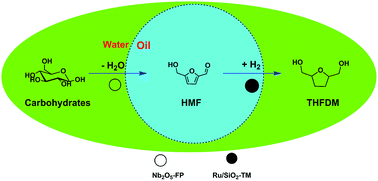 Graphical abstract: Direct conversion of carbohydrates to diol by the combination of niobic acid and a hydrophobic ruthenium catalyst