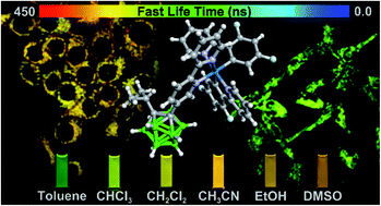 Graphical abstract: Using highly emissive and environmentally sensitive o-carborane-functionalized metallophosphors to monitor mitochondrial polarity