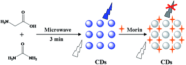 Graphical abstract: Green synthesis of fluorescent carbon dots as an effective fluorescence probe for morin detection